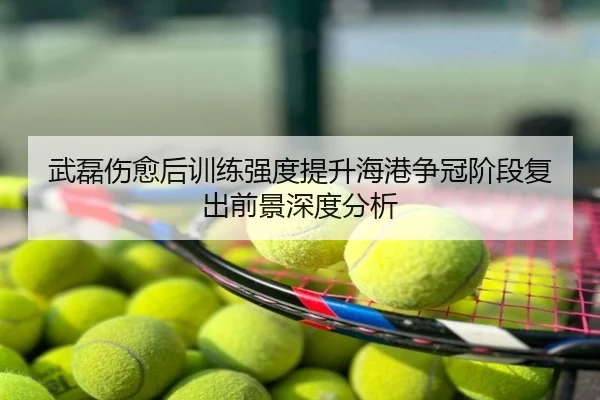 武磊伤愈后训练强度提升海港争冠阶段复出前景深度分析